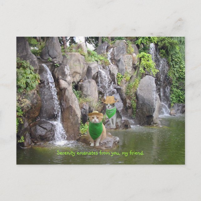 Carte Postale Serene Bubba (Devant)