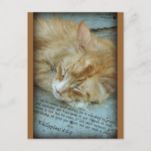 Carte Postale Sérénité