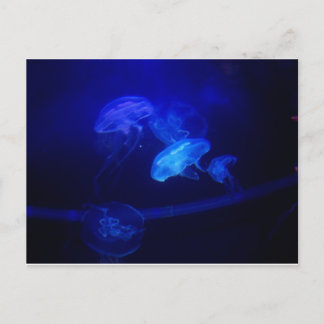 Carte Postale Sérénité