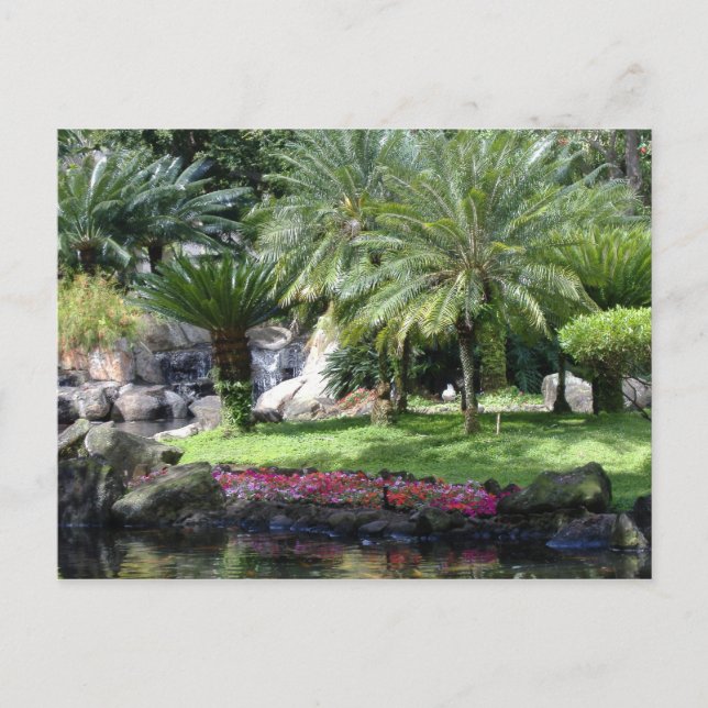 Carte Postale Sérénité à Kauai (Devant)