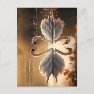 Carte Postale Serenity Twilight - Swans in Love