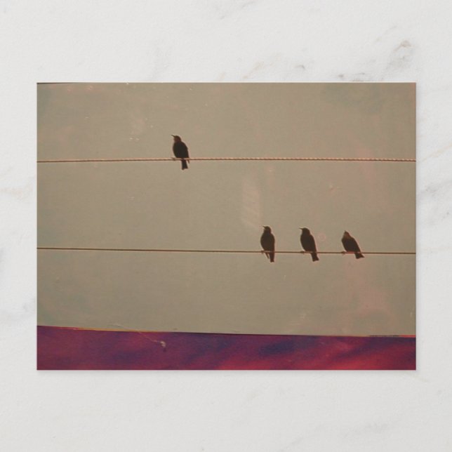 Carte postale série (Devant)