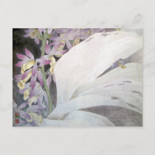 Carte Postale Série de fleurs II- Phaius
