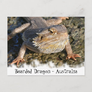 Carte Postale Série Dragon à boucle