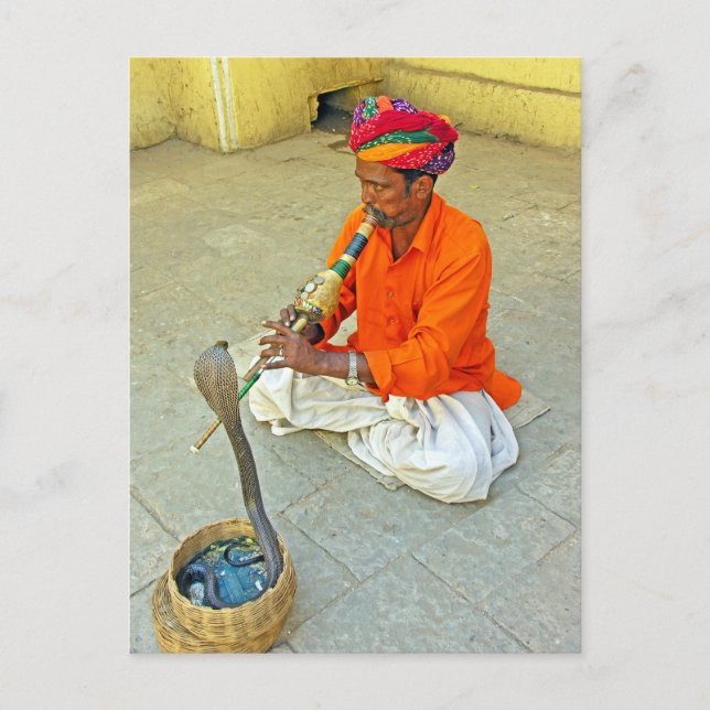 Carte Postale Serpent Charmer En Inde (Devant)