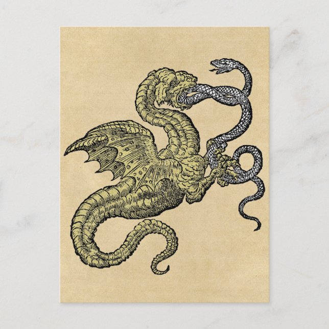Carte Postale Serpent de combat du dragon d'or (Devant)