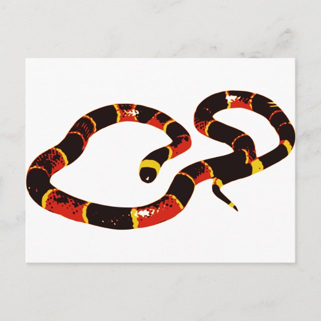 Carte Postale Serpent de Coralillo (Devant)