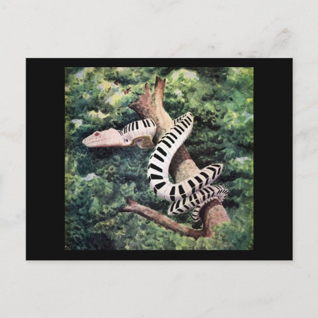 Carte Postale Serpent de piano (Devant)