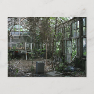 Carte Postale serre abandonnée