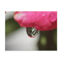 S'est levé avec une vue