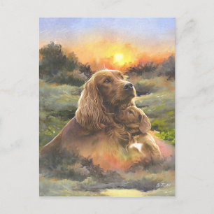 Carte Postale setter irlandais avec chiot