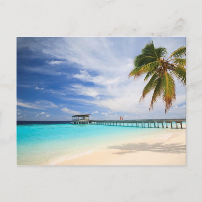 Carte Postale Sévasion maldivienne (Devant)