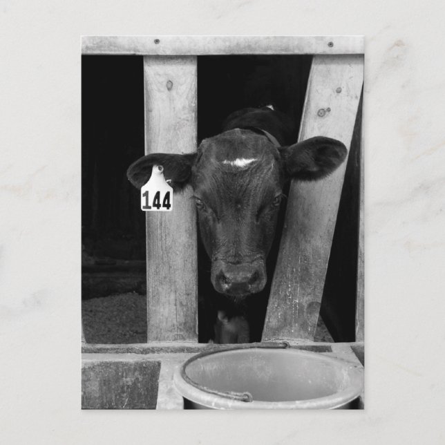 Carte Postale Sevré (Devant)