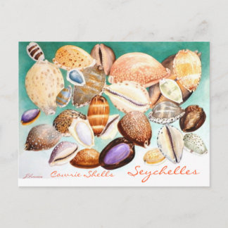 Carte Postale Seychelles Cowrie Coques