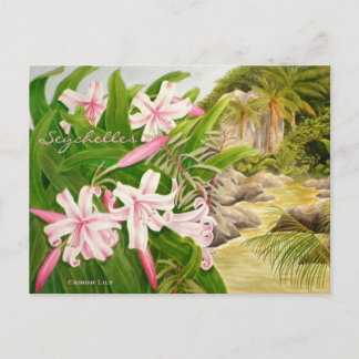 Carte Postale Seychelles Lily