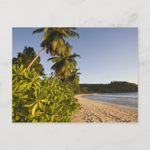 Carte Postale Seychelles, Mahe Island, Anse Takamaka beach,
