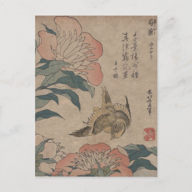 Carte Postale Shakuyaku Kana Ari par Hokusai (Devant)