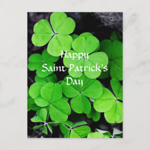 Carte Postale Shamrock, Bonne Saint Patrick's Day