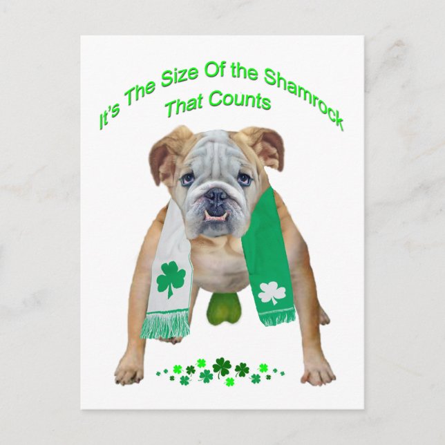 Carte Postale Shamrock de la Saint-Patrick Bulldog (Devant)