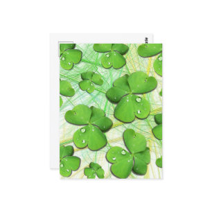 Carte Postale Shamrock vert St Patrick iPhone 5 Coque-Mate