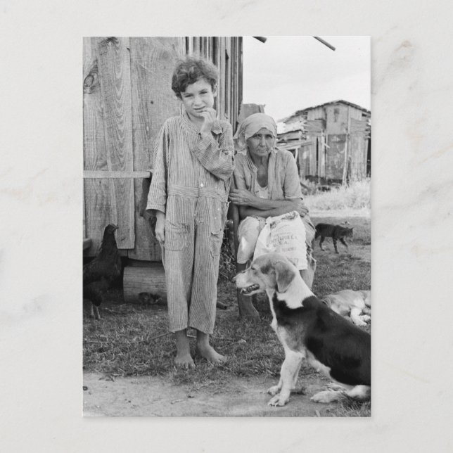 Carte Postale Sharecropper Family avec Hound Dog, 1935 (Devant)