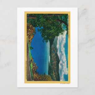 Carte Postale Shasta Lake ViewShasta, CA
