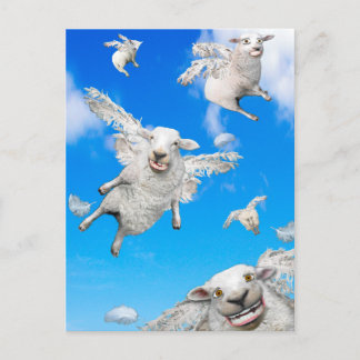 CARTE POSTALE SHEEP 2 VOL