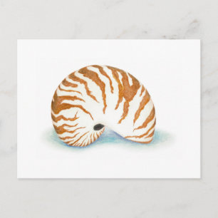 Carte postale Shell
