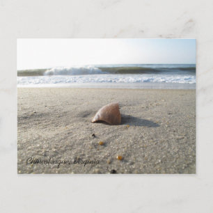 Carte Postale Shell Chincoteague, Virginie