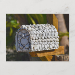 Carte Postale Shell Mailbox, Fort Myers Beach, Floride