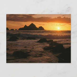 Carte Postale Shelter Cove