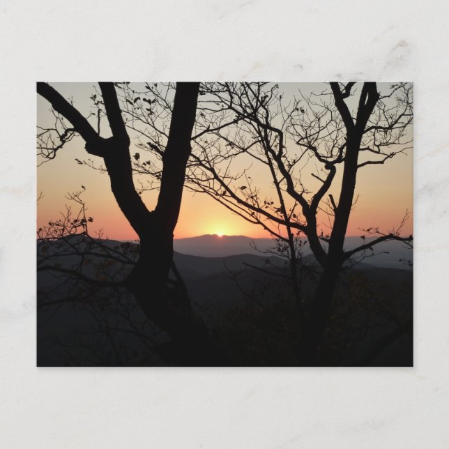 Carte Postale Shenandoah Sunset National Park Paysage (Devant)