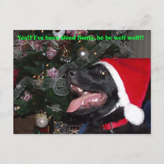Carte postale Shepherd xmas