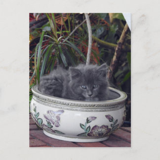 Carte Postale Sherlock Poted