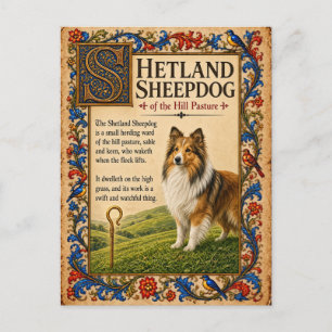 Carte Postale Shetland Sheepdog, Art du Bestiaire Médiéval