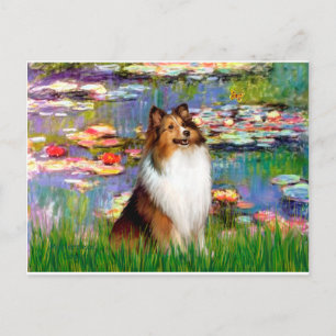 Carte Postale Shetland Sheepdog (Bz) - Lilies 2