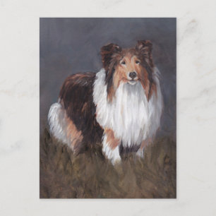 Carte postale Shetland Sheepdog Chien