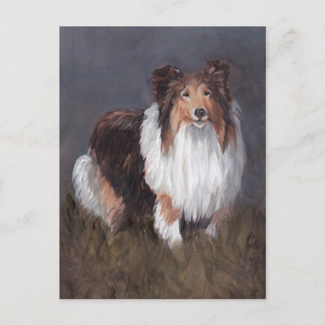 Carte postale Shetland Sheepdog Chien (Devant)