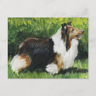 Carte postale Shetland Sheepdog Chien Art