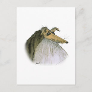 Carte Postale Shetland Sheepdog, tony fernandes