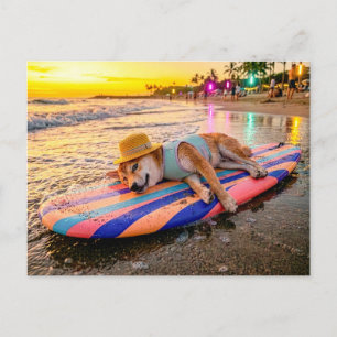 Carte Postale Shiba Inu se relaxant sur une planche de surf au c