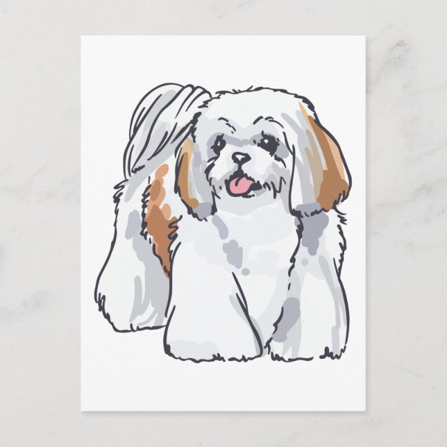 Carte Postale Shih Tzu (Devant)