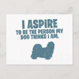 Carte Postale Shih Tzu