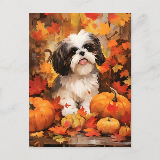 Carte Postale Shih Tzu Automne Thanksgiving (Devant)