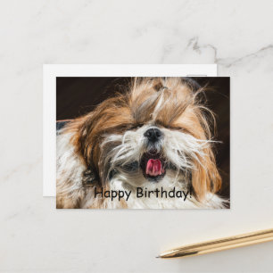 Carte Postale Shih tzu bâillant langue drôle mignon Joyeux anniv