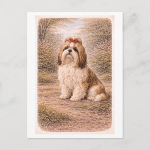 Carte Postale Shih Tzu de style vintage