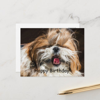 Carte Postale Shih tzu hurler langue drôle mignon Joyeux anniver