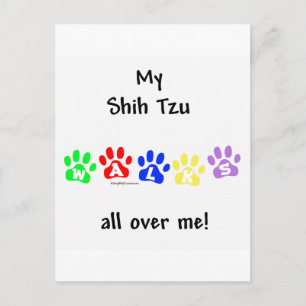 Carte Postale Shih Tzu Marche Sur Vous