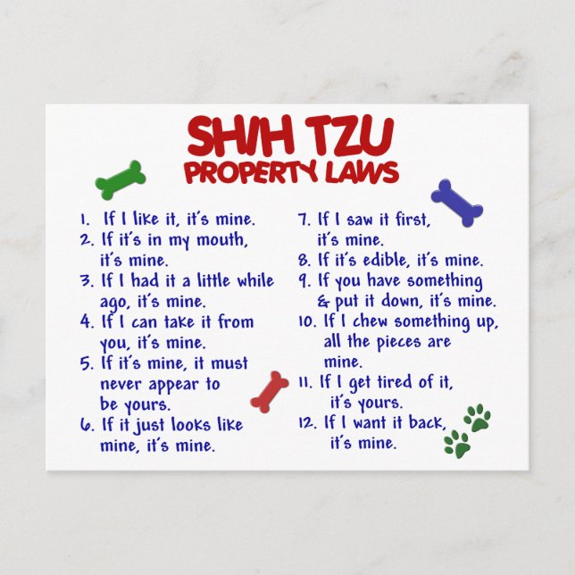 Carte Postale SHIH TZU, propriété Lois 2 (Devant)