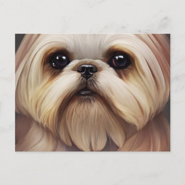 Carte postale Shih Tzu Salutations (Devant)